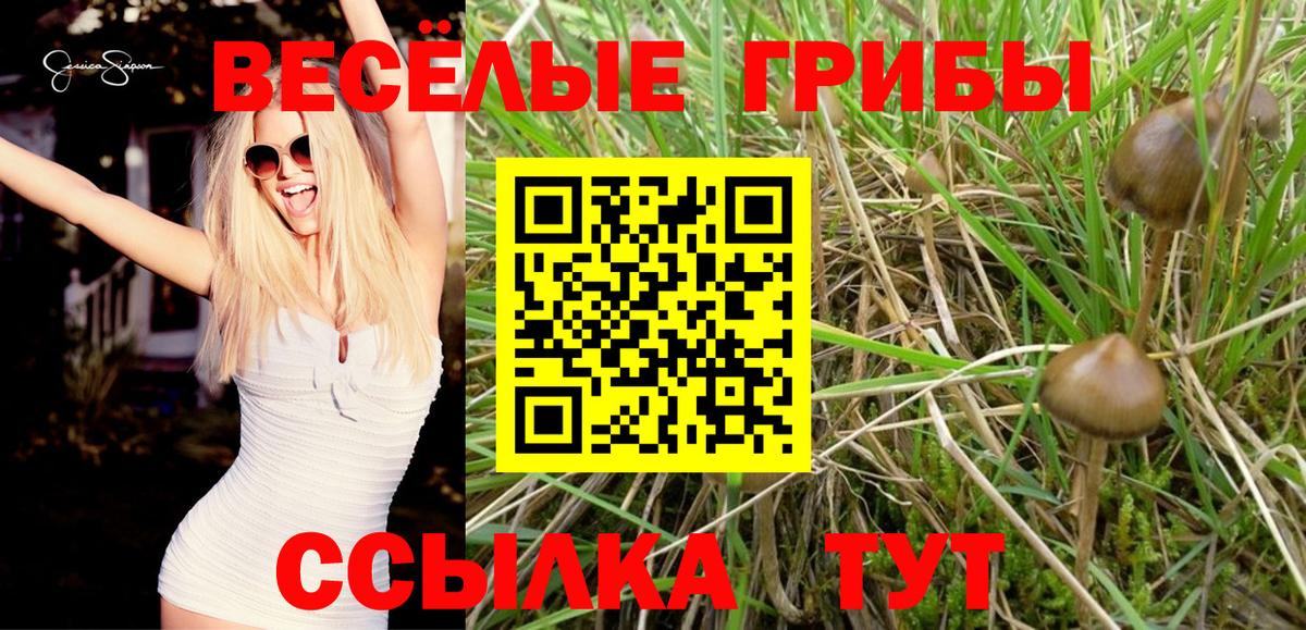 цены наркотик  Галлюциногенные грибы Cubensis  Вход с VPN  Кунгур 