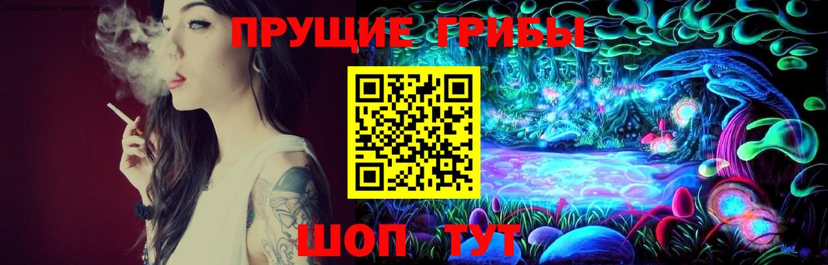 Псилоцибиновые грибы мицелий Кунгур