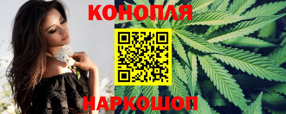Канабис OG Kush Кунгур